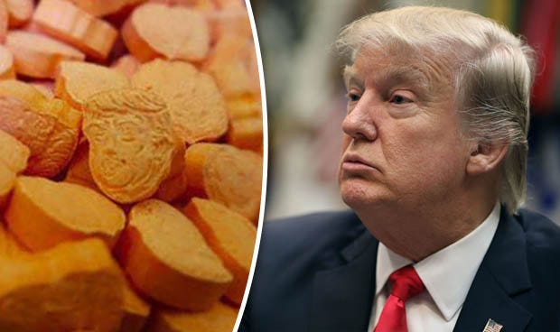 Image result for trump ecstasy