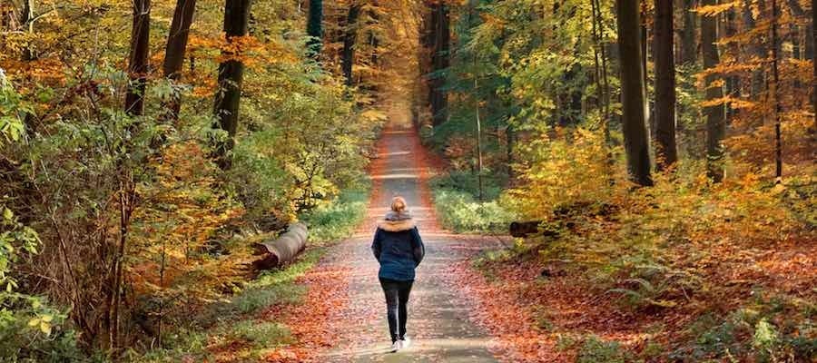 Woman walking on forest path