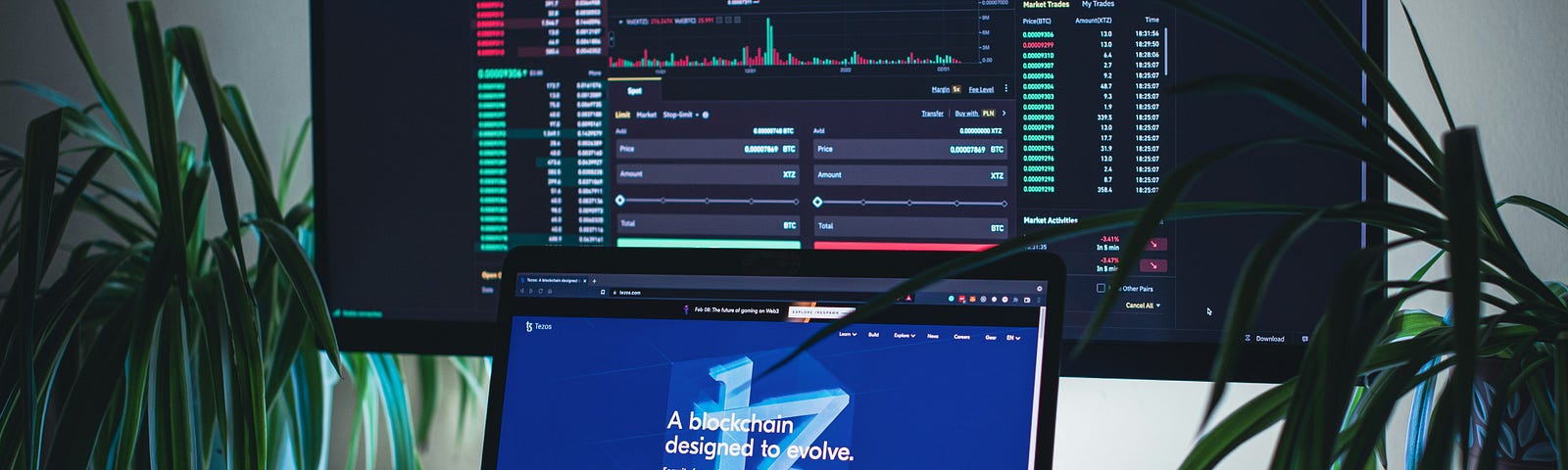 Top 5 Crypto Narratives in 2024 for Narrative-Based Trading