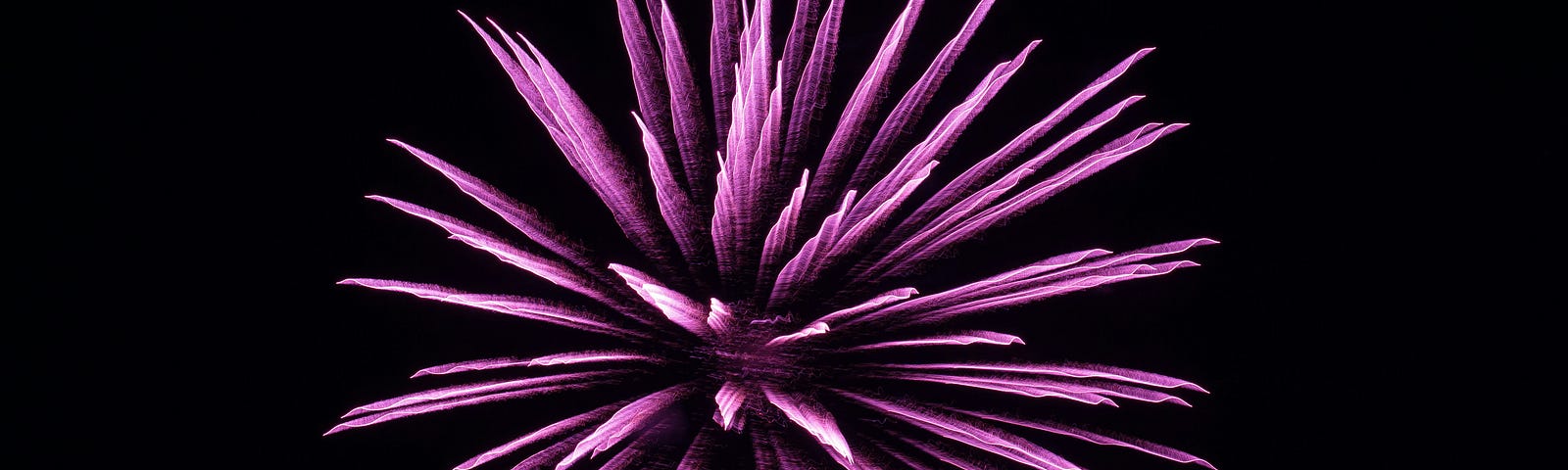 purple fireworks exploding in the night sky