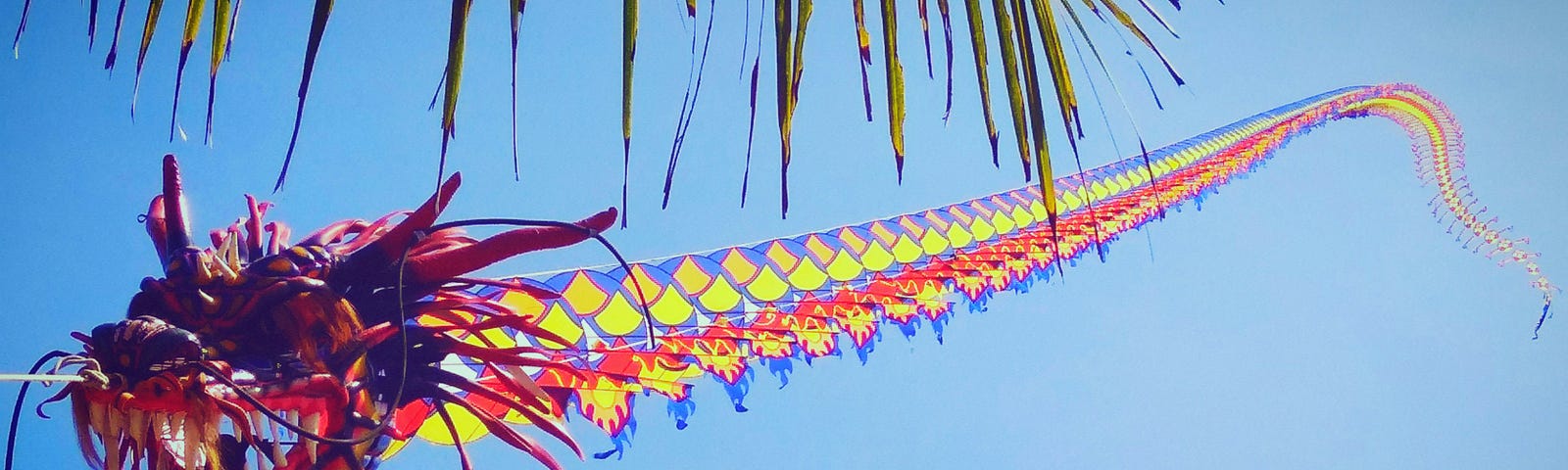 A long dragon kite with a colorful tail is flying through the air toards you.