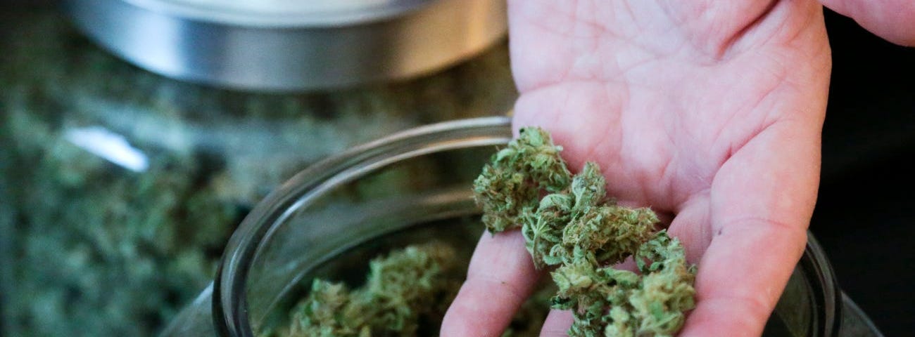 Bob Leeds, co-owner of Sea of Green Farms, shows some of the marijuana he produces during at his facility in Seattle.