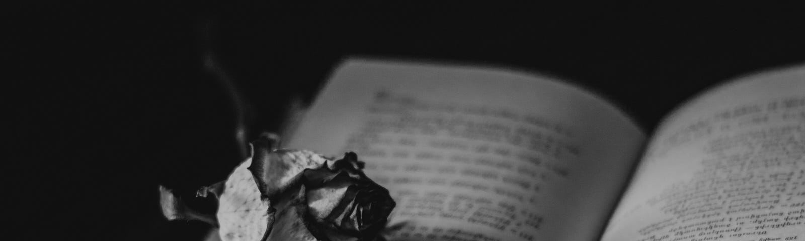 A book lies open beneath the crumpled remains of a burning page.