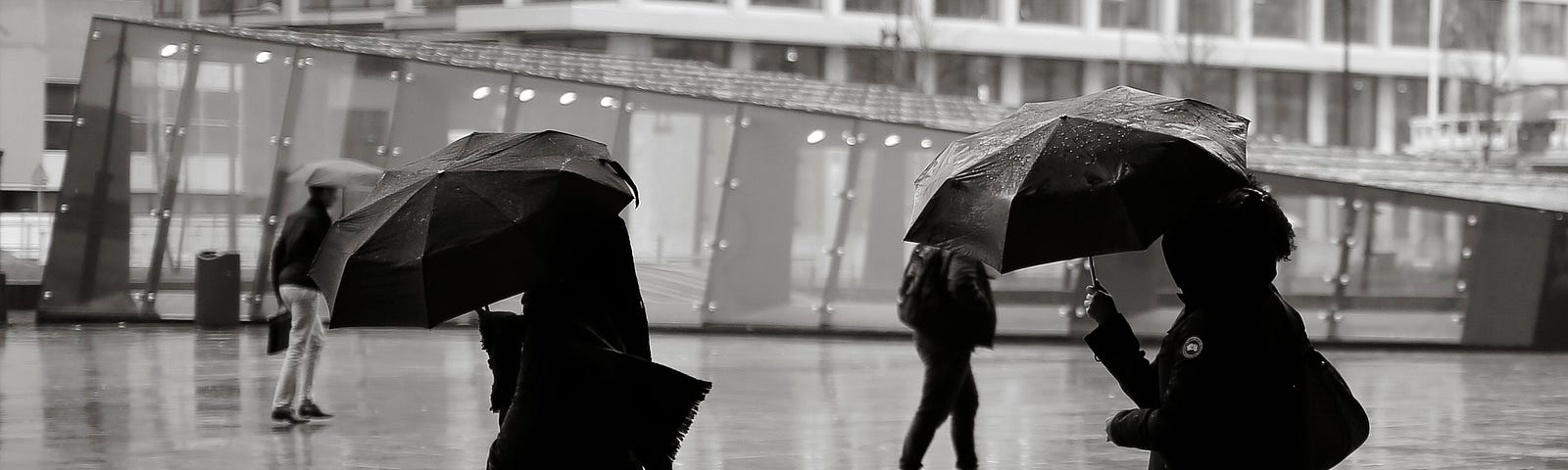 black and white image of people under umbrellas in a rainstorm