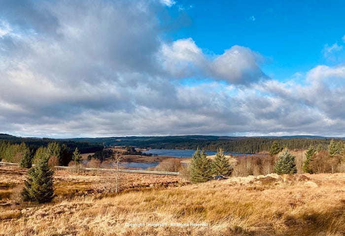 Autumnal view over Kielder Reservoir in Northumberland