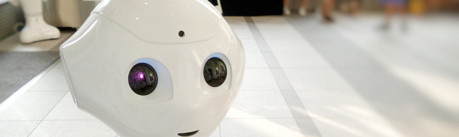 small white human-looking robot with look of curiosity