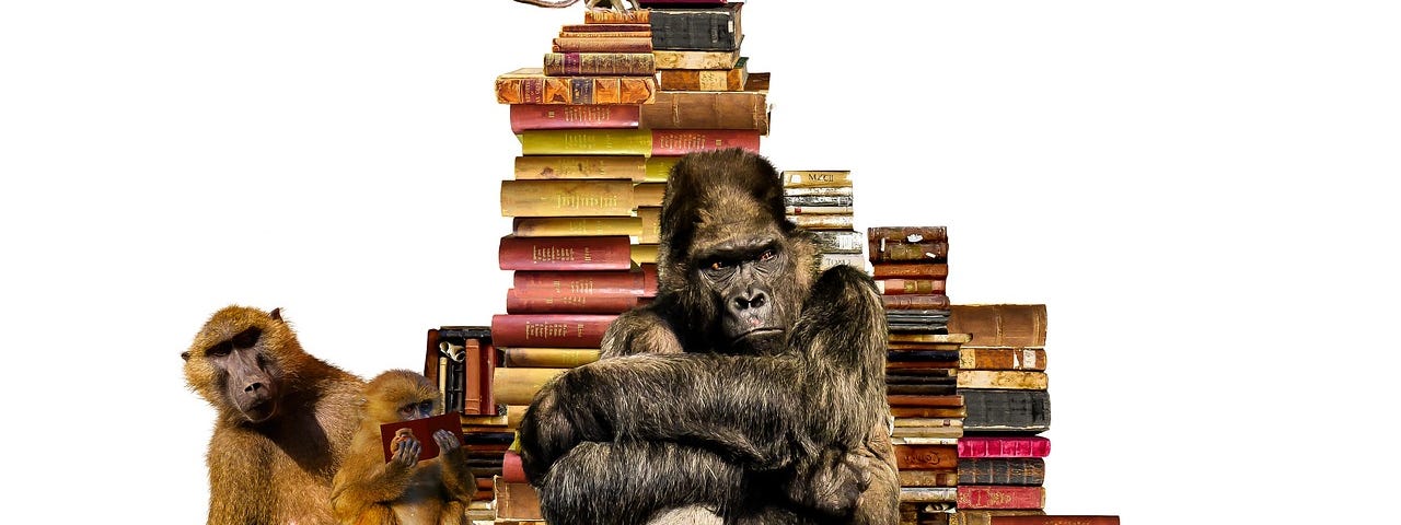 Monkeys climbing on a stack of books