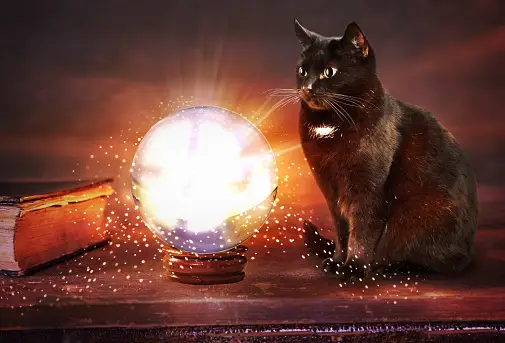 AI image of a black cat sitting next to a glowing crystal ball