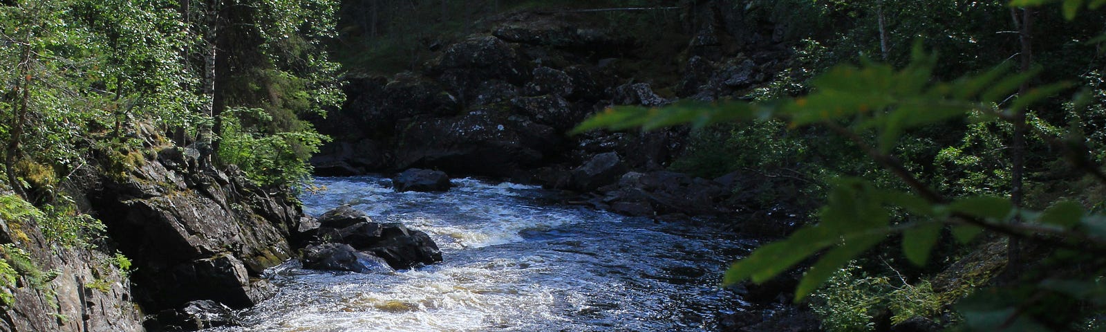 Sunlit rapids on the left of the frame lead into the shadows down river and around the bend.