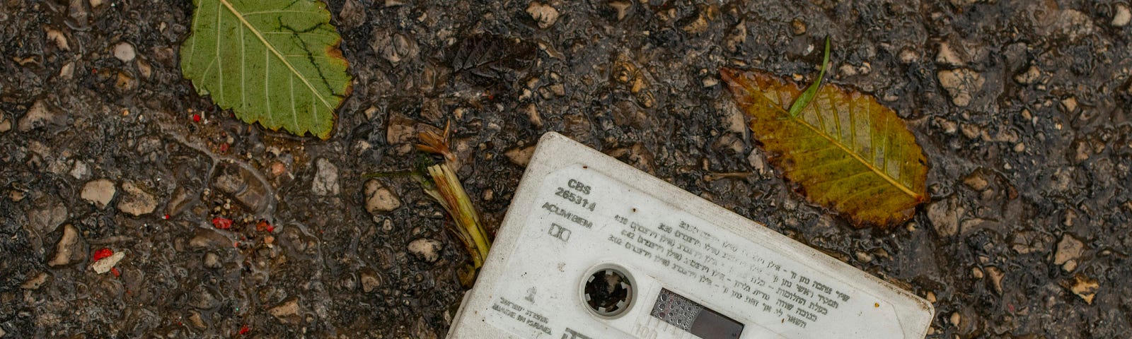 A white cassette tape on asphalt with a few leaves surrounding it