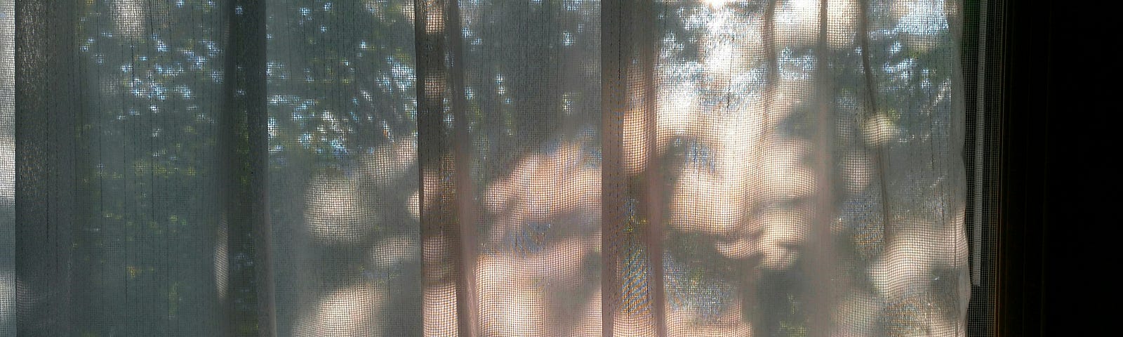 Sheer delicate light pinkish curtains with sun and shadows of trees peering in.