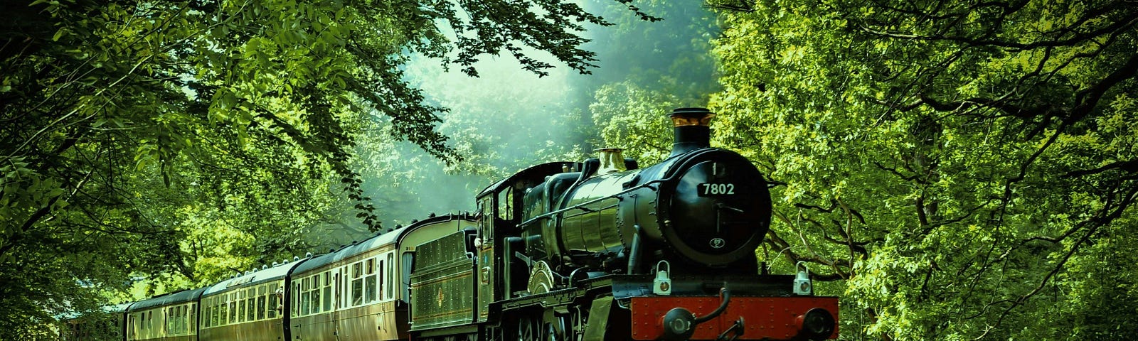 Steam engine and train among trees…