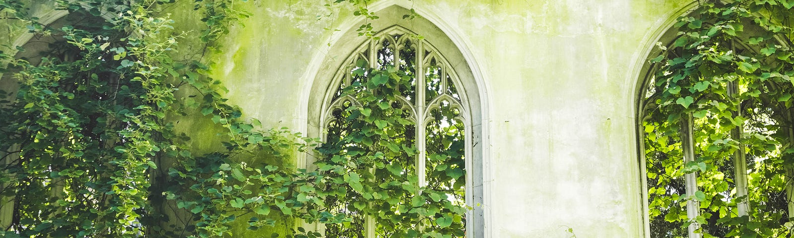 A beautiful white wall with arched windows, covered with greenery.