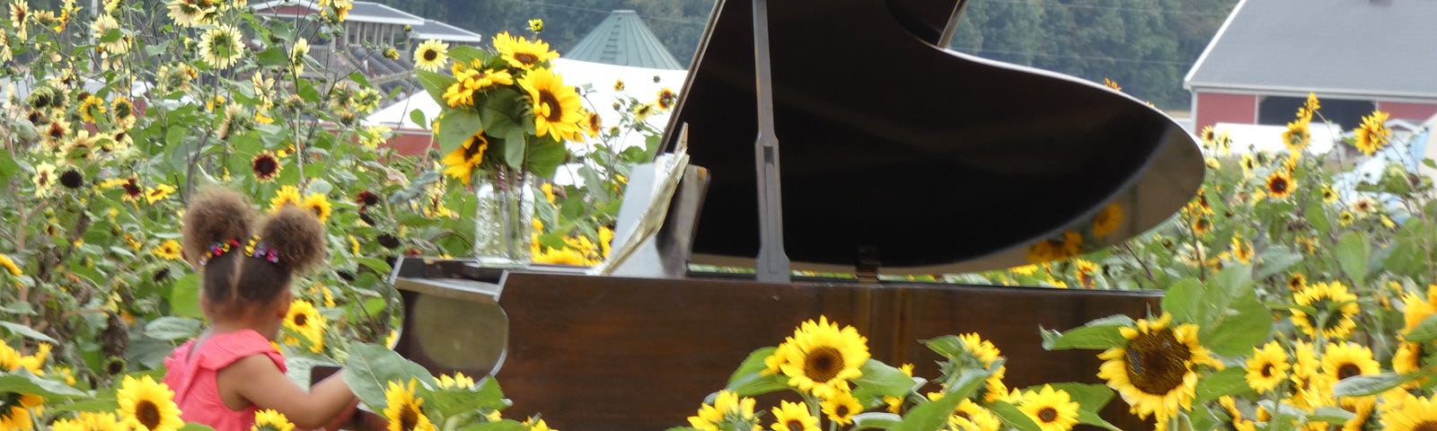 Piano in a sunflower field, with child sitting at it
