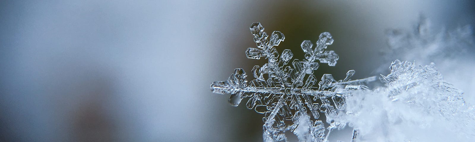 Image of a snowflake.