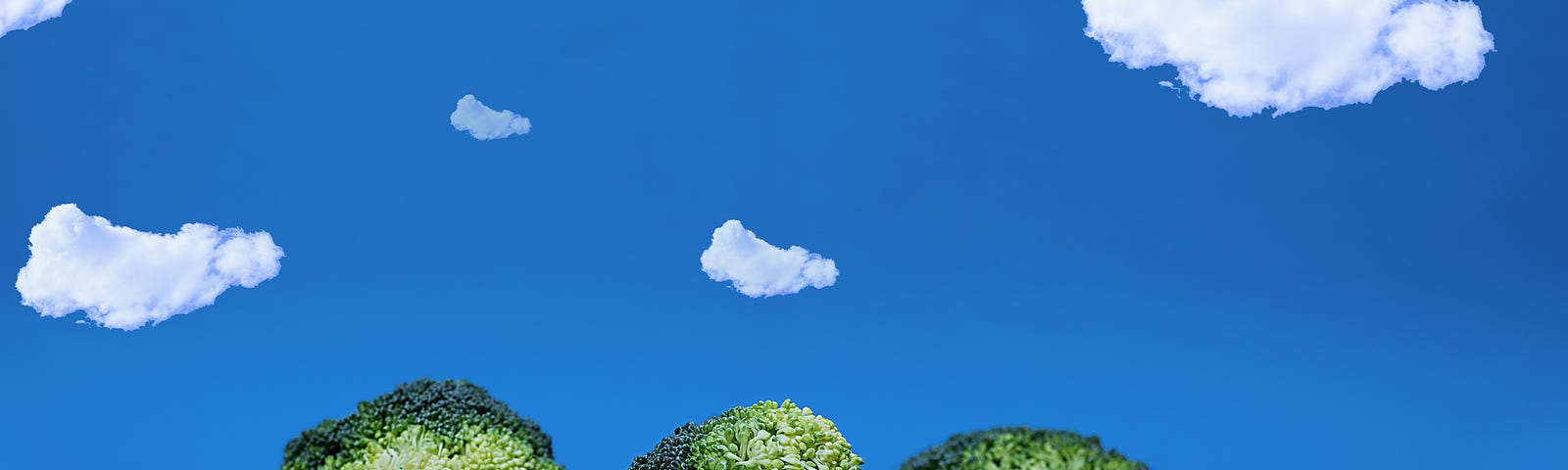 Broccoli (3 pieces) agains a blue sky with clouds.