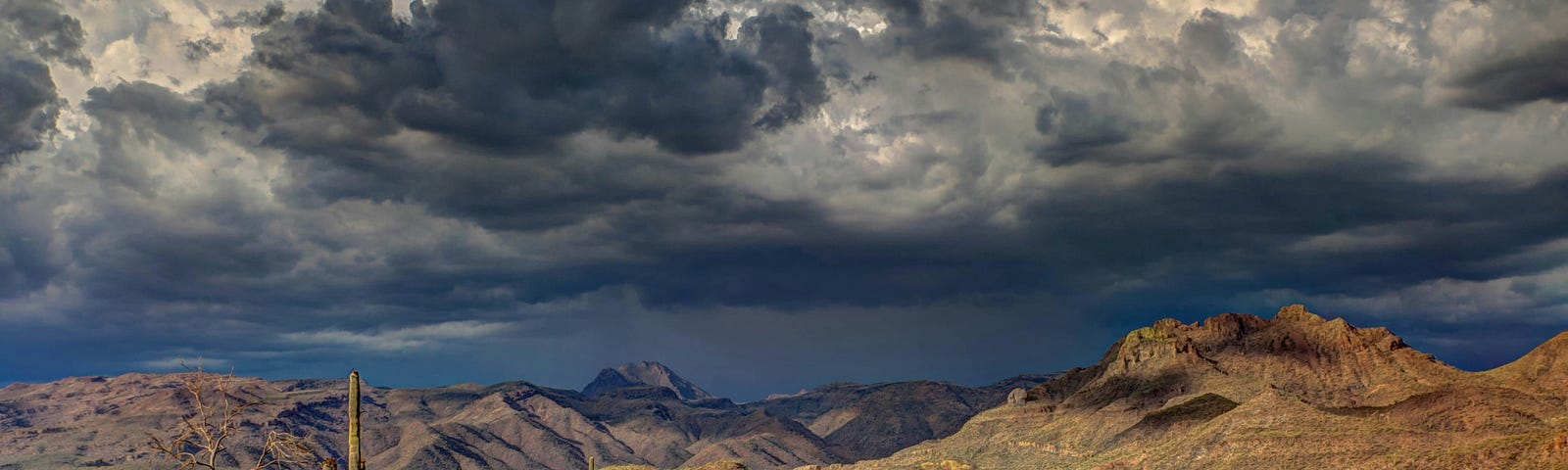 Desert scene, tall cacti under a stormy sky