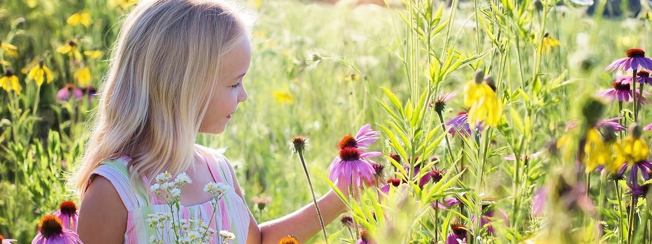 A girl picks wildflowers