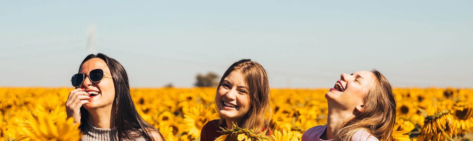 Three girls laughing amidst a sunflower gardern