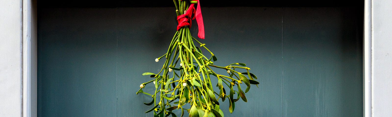 mistletoe hanging from a red ribbon in a doorway