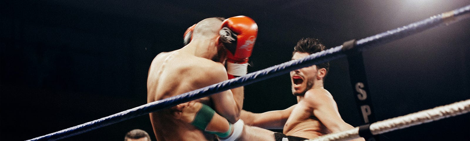 A fighter landing a roundhouse kick against their opponent’s body.