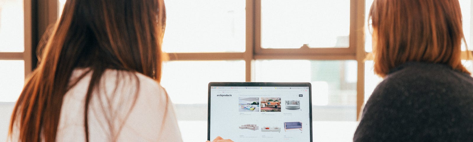 Two women with looking at a website on a laptop