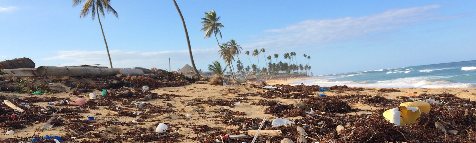 Ocean trash littering a beach with palm trees in the background