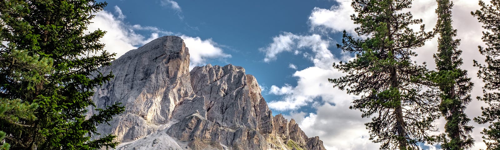 A beautiful mountain surrounded by trees.