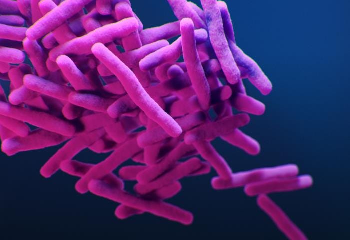 This is a medical illustration of drug-resistant, Mycobacterium tuberculosis bacteria. The bacteria appear purple on a dark blue background. The bacteria are elongated, almost cigar-shaped, and they are clustered in a group.