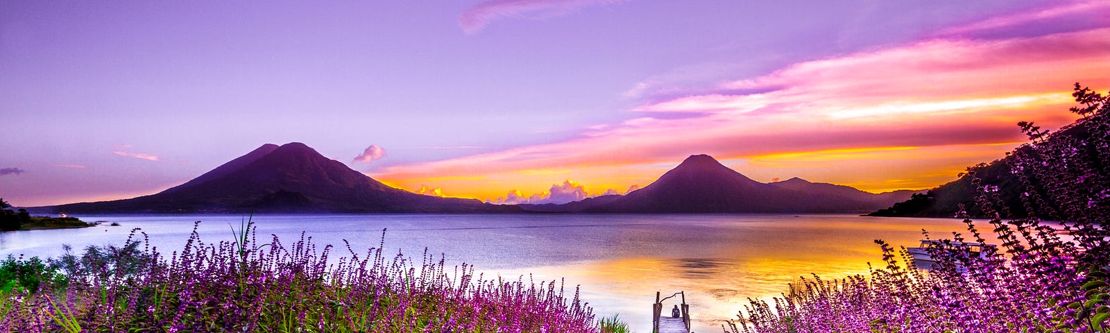 A violet tinted sunset over a lake with mountains in the distance and violet wildflowers in the foreground.