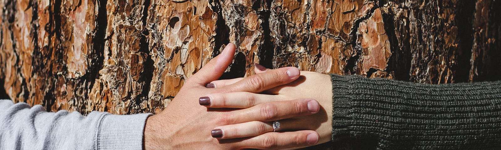 A close shot of two hands intertwined (male and female) while hugging a tree.