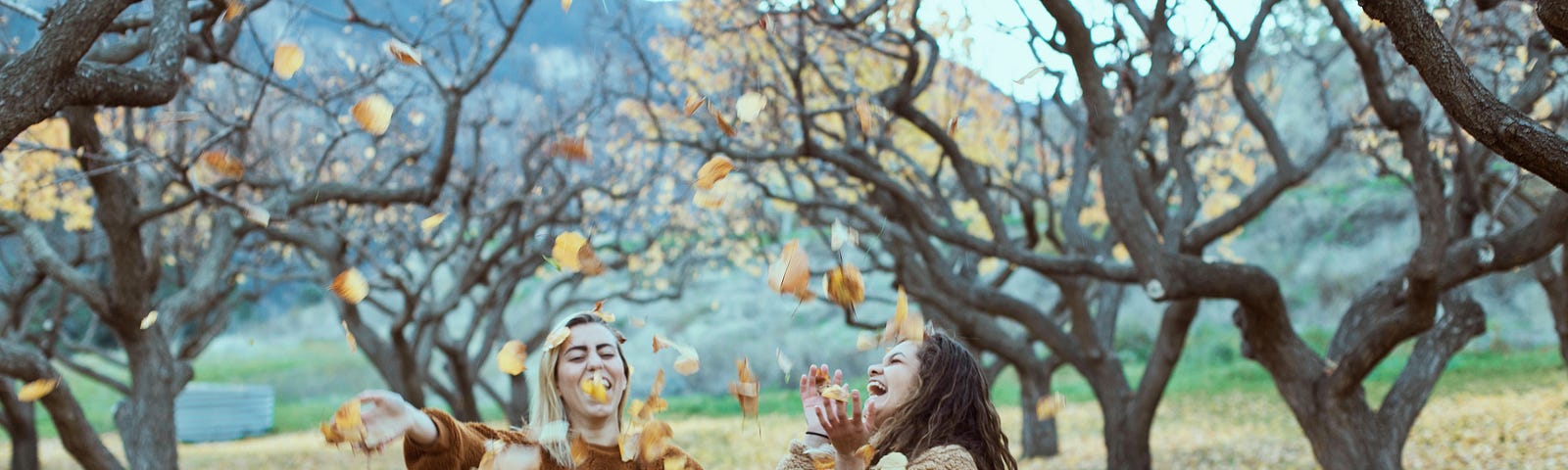 Two youngsters, playful in an orchard with golden leaves all around