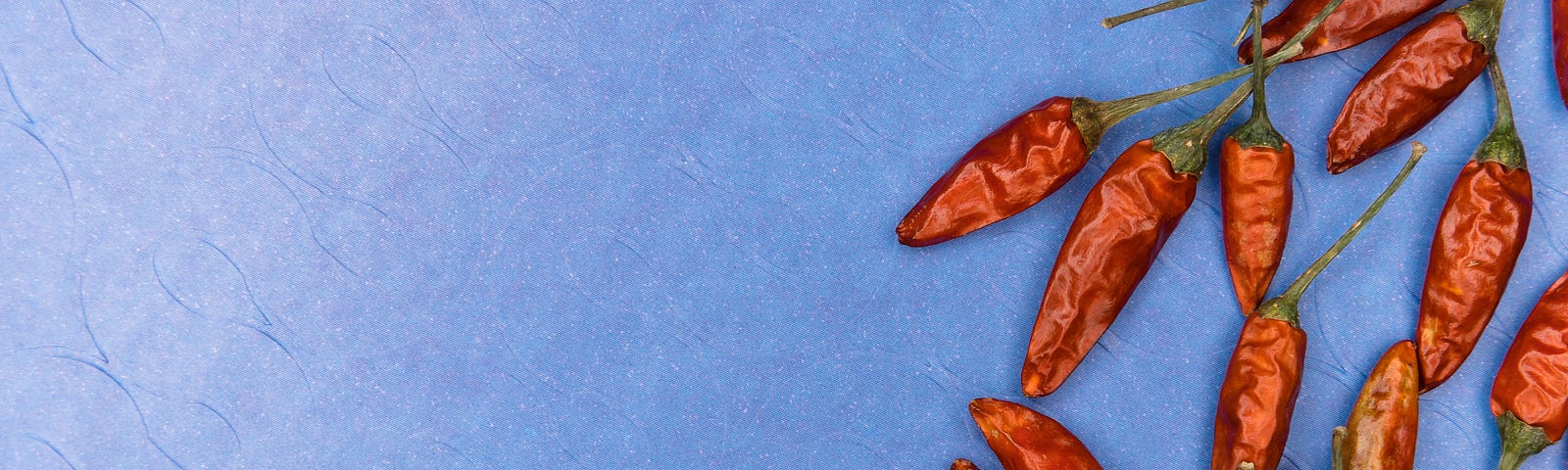 Selection of dried red chile peppers against a blue background.