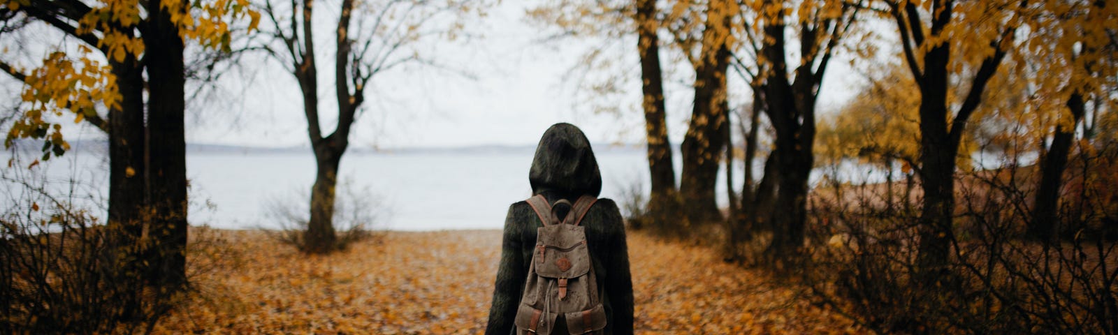 Lone walker, pathless forest, toward the lake