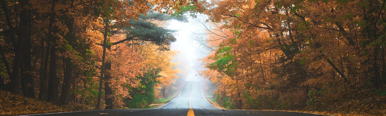 a photo of a road