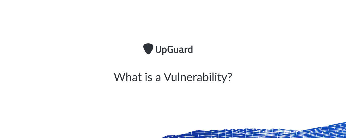What Is A Vulnerability