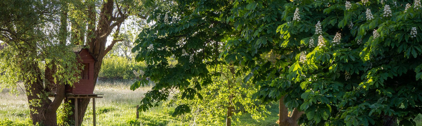 table and chairs under trees