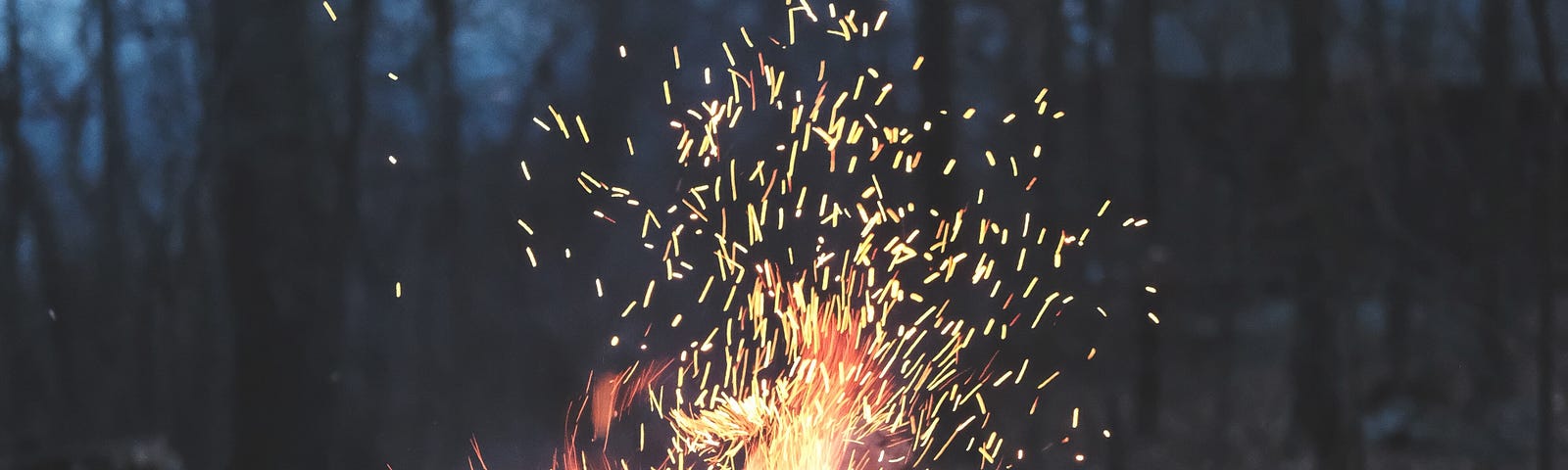 A campfire burning in the middle of a wood surrounded by rocks