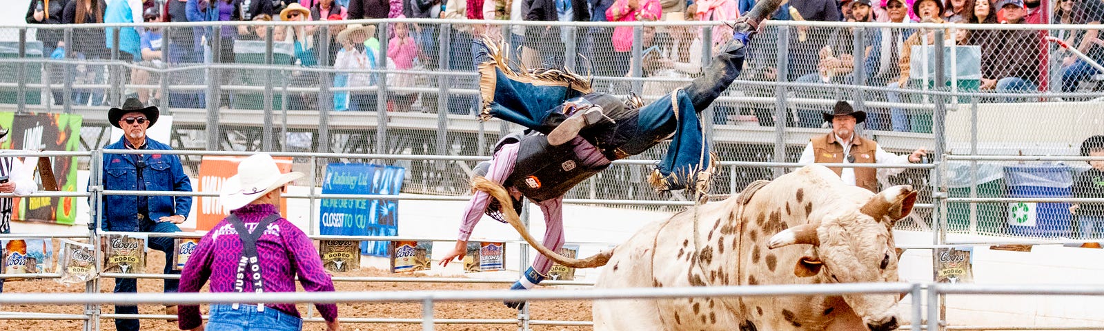 Bull fight — How to be more resilient