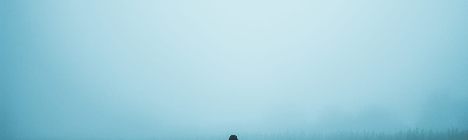 A lonely person standing on a field in the fog