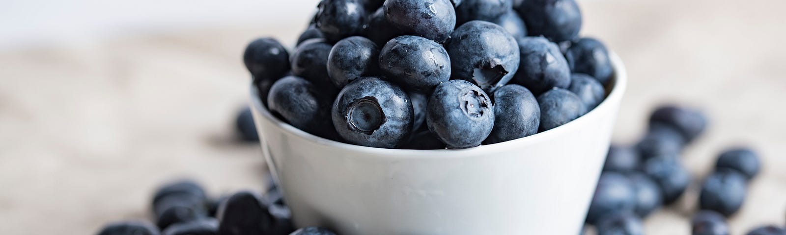 A white bowl, containing blueberries.