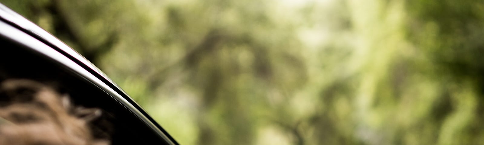 young girl wearing sunglasses leaning out of the window of a moving car to see the road ahead