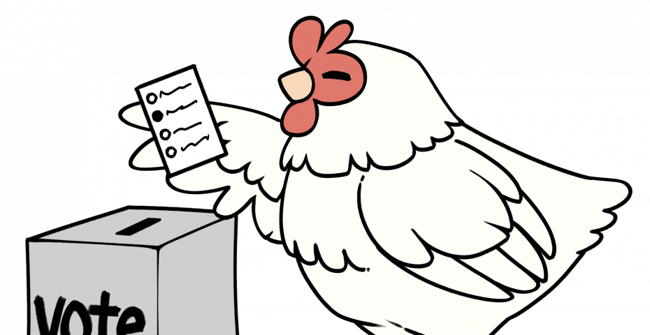 Illustration of the Artisans Cooperative logo chicken placing a ballot in a vote box