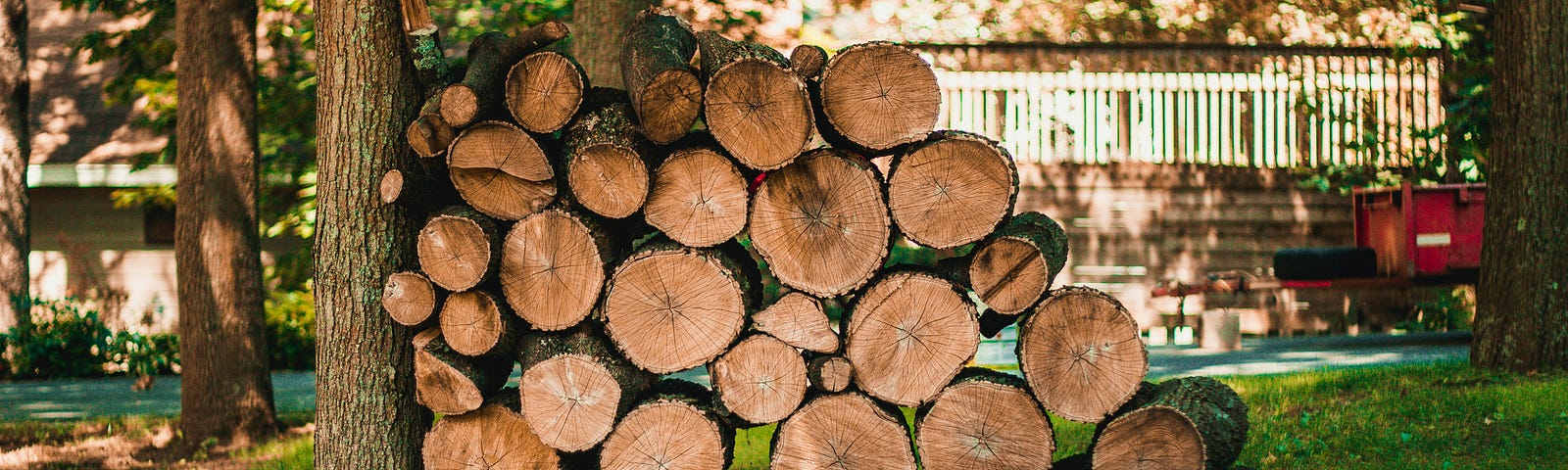 Logs stacked up against a tree.
