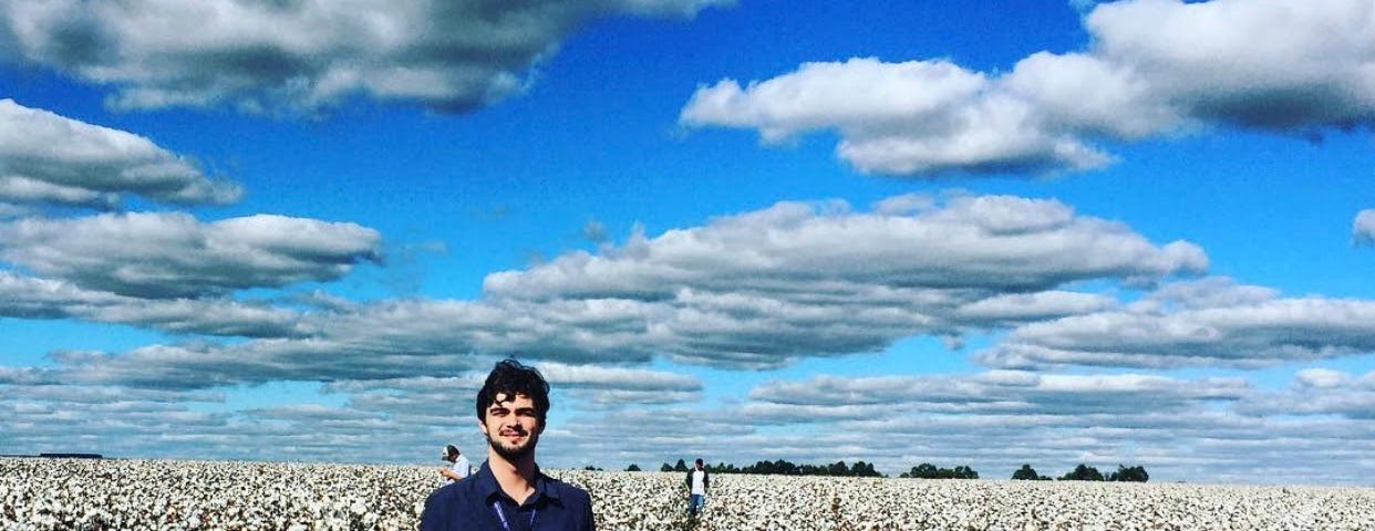 Céu azul, plantação de algodão, pessoa ao centro com camisa social e calça jeans.