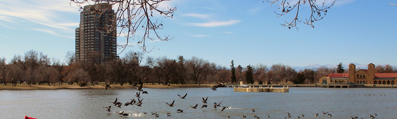 Someone sits on a bench near water, birds are visible flying near the surface