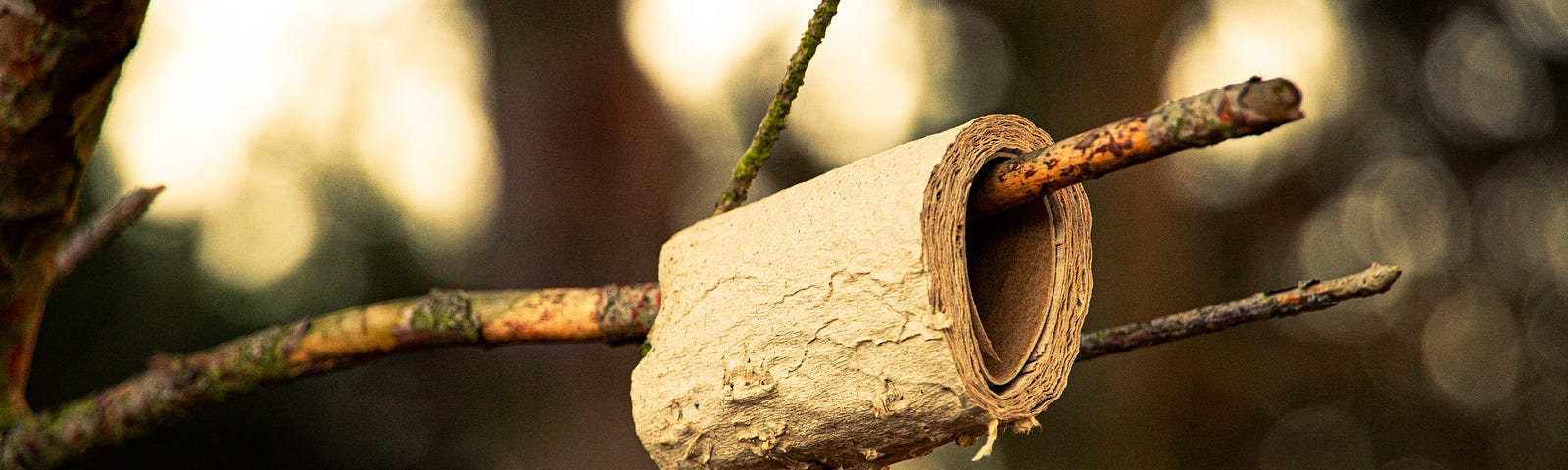 roll of toilett paper on a branch