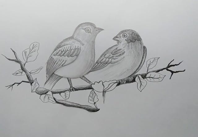 Realistic Pencil Drawings of Birds  Fine Art Blogger
