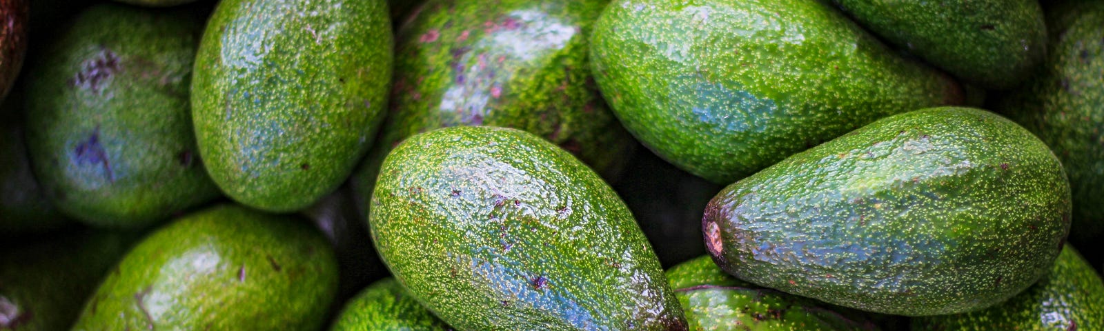 Avocados