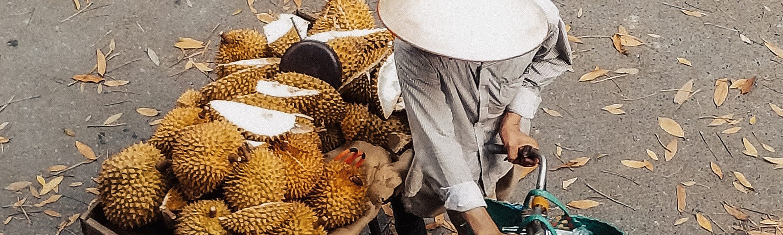 Jackfruit vs. Durian: What’s The Difference?